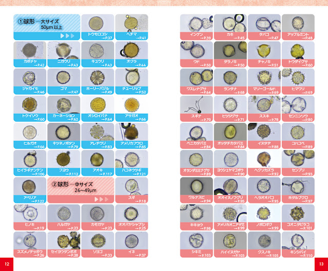 花粉ハンドブック サンプルページ