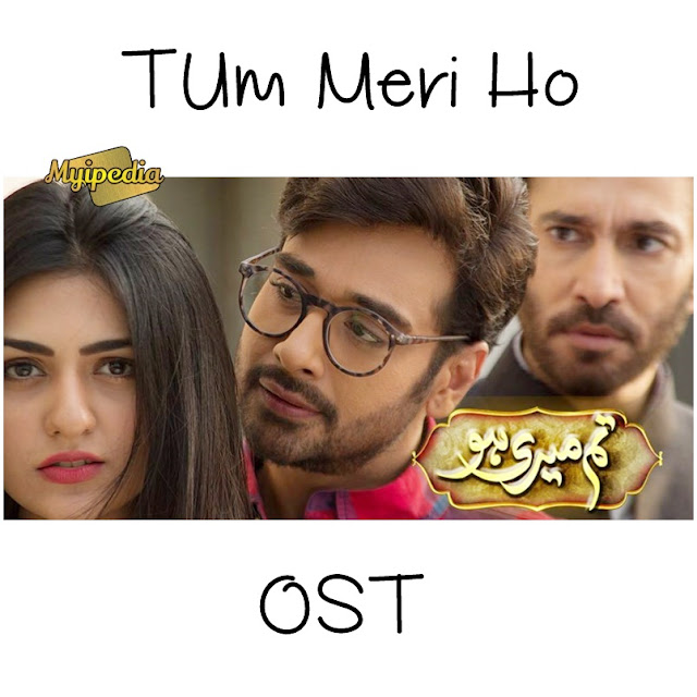 Tum Meri ho OST New Drama 2016 on ARY Zindagi - Faisal Qureshi , Aijaz Aslam & Sarah Khan 