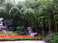 Bamboo In Garden1