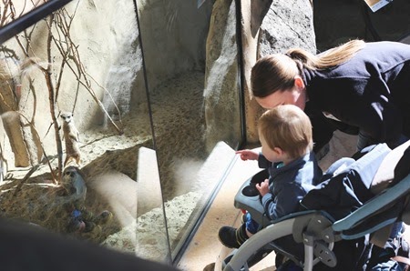 20140315 calgary zoo (41) edit