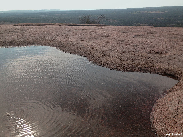 A Vernal Pool at the Top of Enchanted Rock... a haven of life in a harsh and unstable environment... granite and sun.