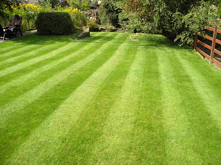 Lawn Care