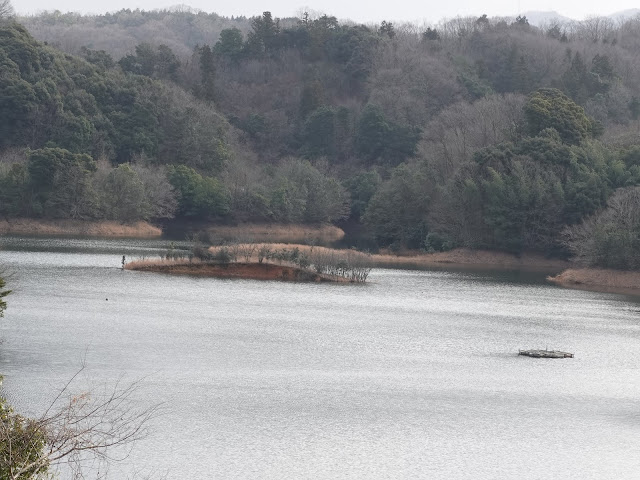鳥取県道180号伯耆溝口停車場線　緑水湖の眺望