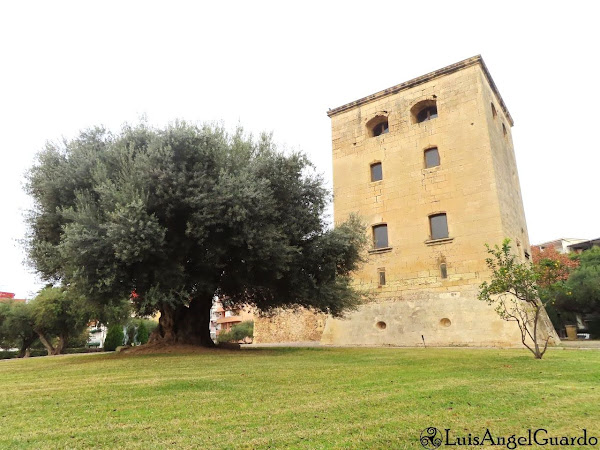 Salou - Torre Vella