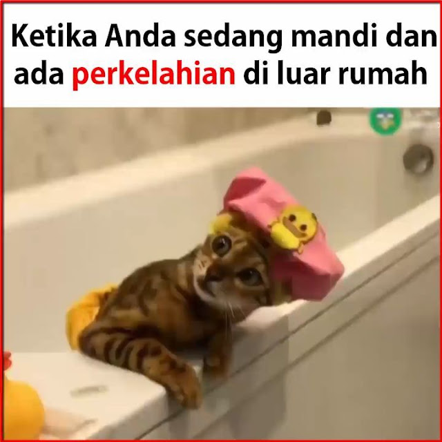 10 Meme Lucu 'Tetangga' Ini Kelakukannya Bikin Ngakak