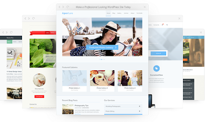 Wordpress Responsive Themes