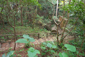 Stone trail through forest, Hedo, Okinawa