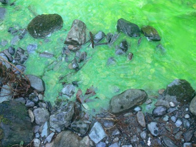 RIVER -10