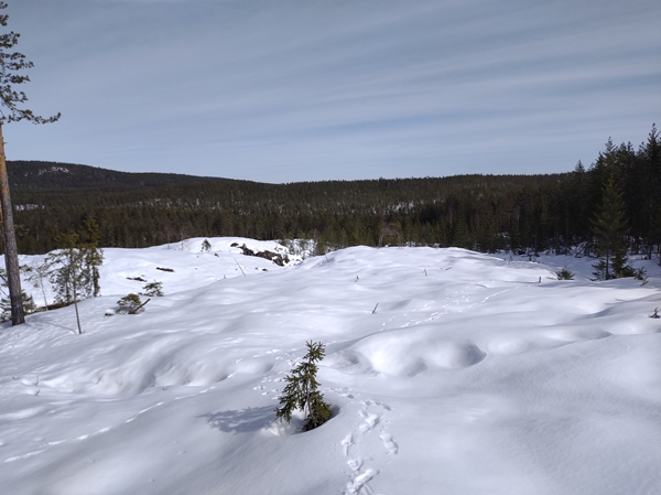 skautur bårnåsåsen