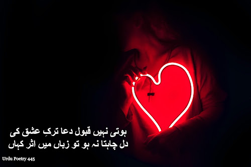 Hoti Nahi Qabool Dua Tark e Ishq Ki,Love Poetry | dil shayair | urdu poetry | 2 line poetry