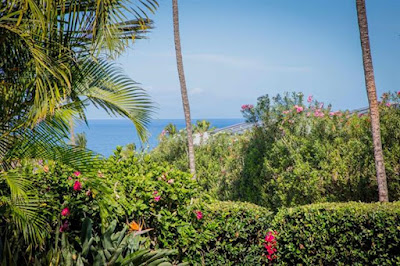 Kihei Homes for Sale; Homes for Sale in Kihei