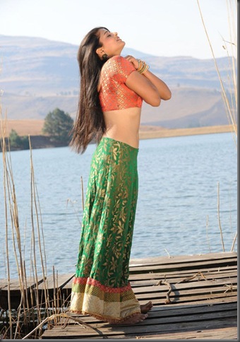 priyamani-spicy-stills-03