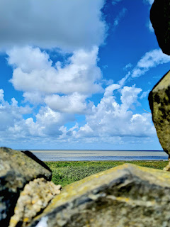 Ausblick aufs Wattenmeer