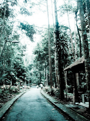 sungai congkak recreational forest