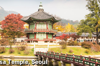 10 Romantic Experiences in Seoul and Jeju Island! 