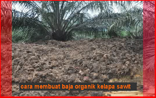 cara membuat baja organik kelapa sawit 