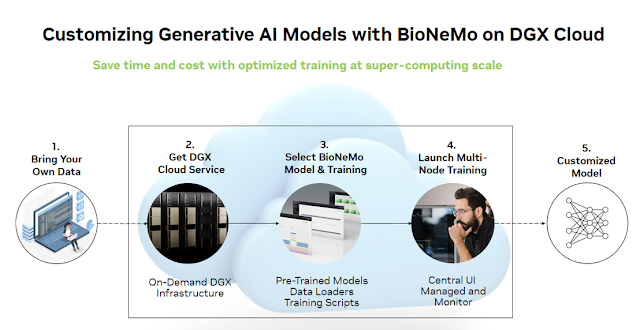 Resources for BioNeMo Framework