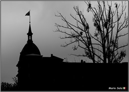 IL_FOTO_17bw
