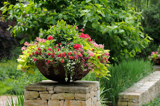 bowl planter, container garden, planter design