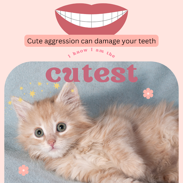 Human cute aggression provoked by a kitten or puppy can damage teeth!