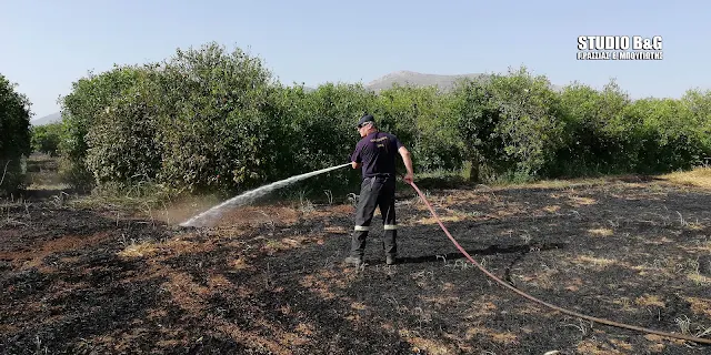 Πυρκαγιά στον Ίναχο Αργολίδας (βίντεο)