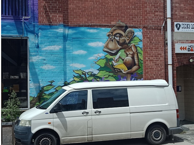 Hobart Street Art | Rock it Climbing Centre