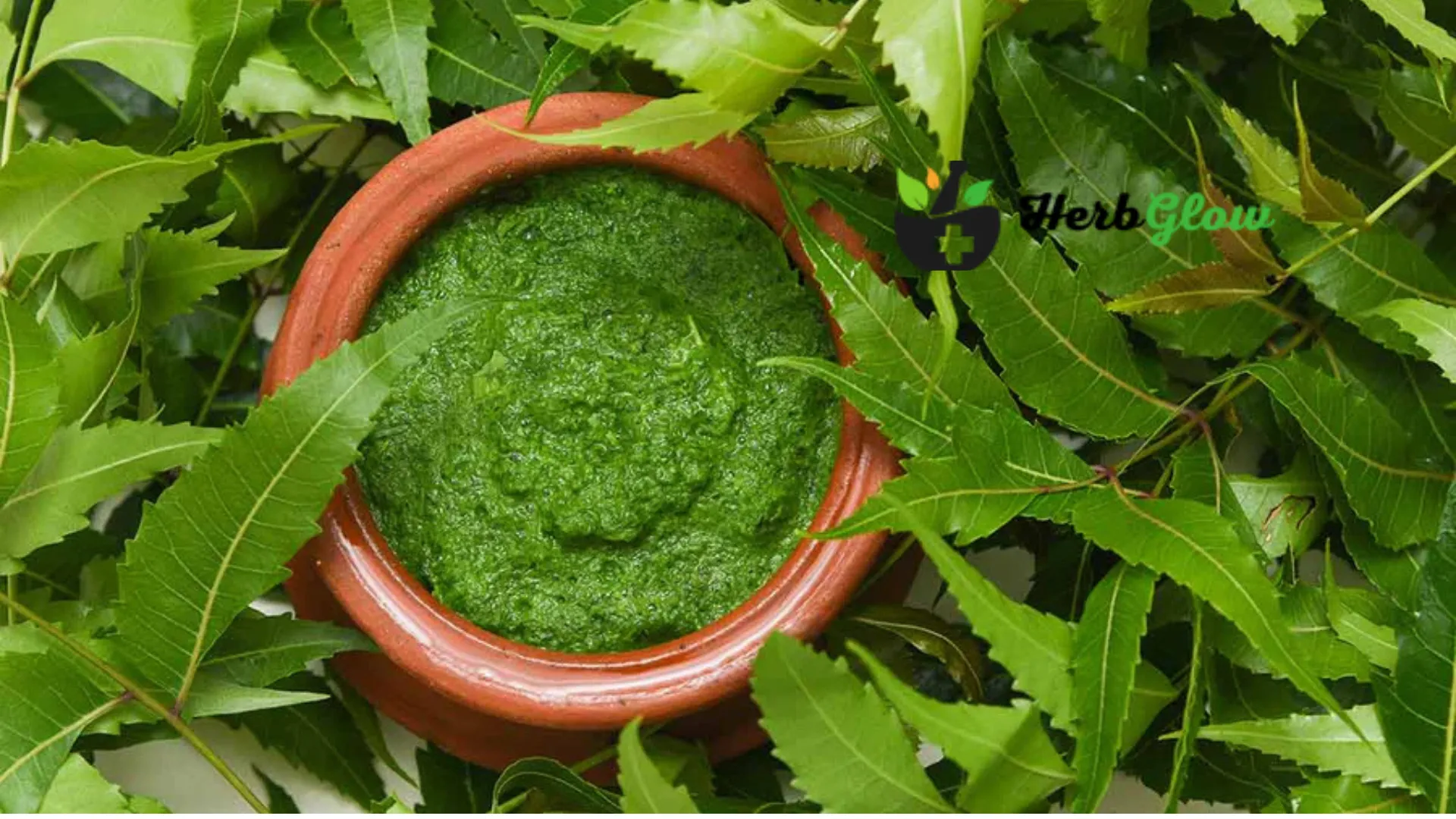 Exploring Complementary and Alternative Medicine (CAM): Types and Benefits