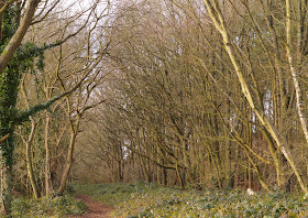 The time between winter and spring in Norfolk