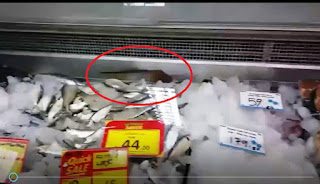 Mouse in Keells Super supermarket goes viral