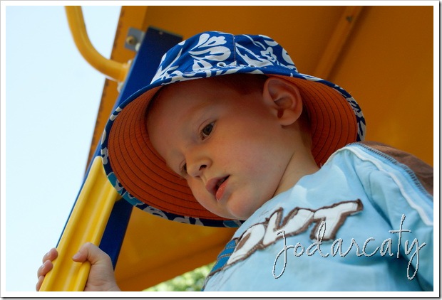 SONY DSC