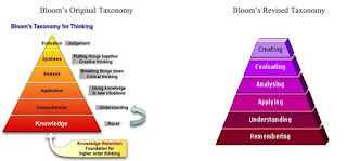 TAXONOMI BLOOM