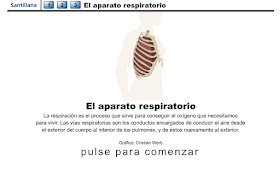 http://www.ceiploreto.es/sugerencias/animaciones/ciencias/aparespi.swf