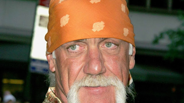 Hulk Hogan Hd Wallpapers Free Download