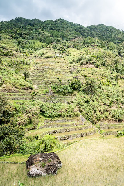 Maga-Ifugao-Luçon-Philippines