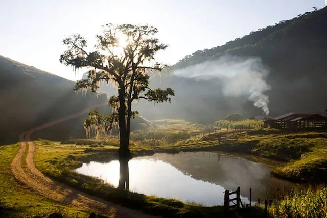 Amanhecer no campo