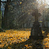 Autumn time