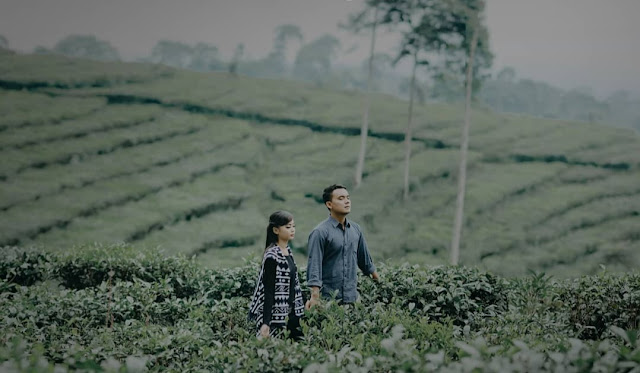 Agrowisata Kebun Teh Pagilaran