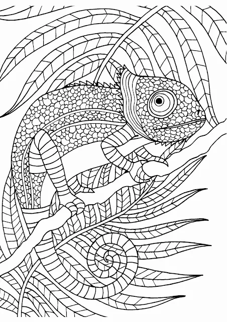 Free Printable Coloring Pages For Adults Advanced Chameleon