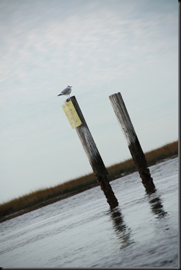 December09Boat 061