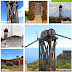 Molinas de viento de La Palma: Patrimonio de todos, Patrimonio de nadie