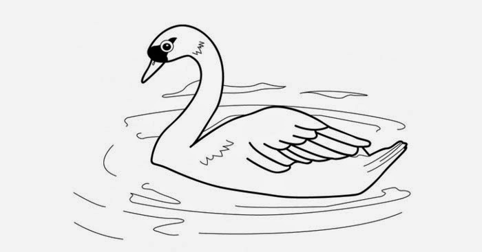 Swan coloring page | Free Coloring Pages and Coloring Books for Kids