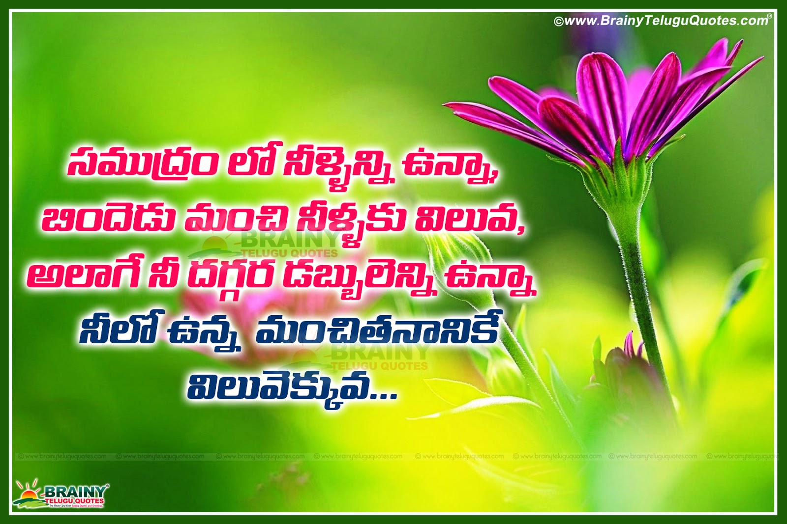 Here a Latest Telugu quotes about Leadership with Leadership Sayings and Inspiring Words in Telugu Top Telugu Good heart Wallpapers and Messages