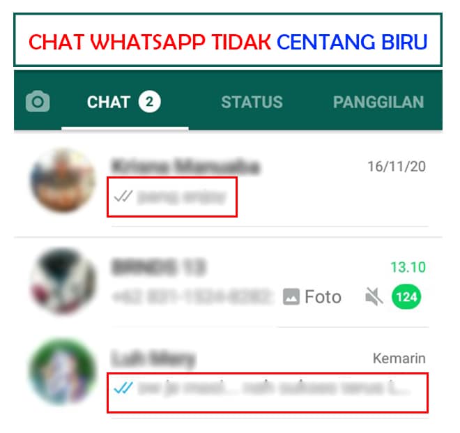 cara agar centang dua di whatsapp tidak berwarna biru