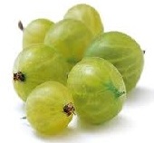 gooseberry