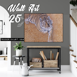 Coupon Code WallART troderickart