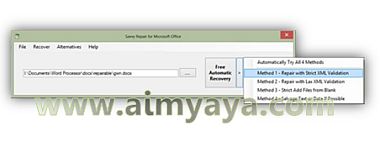  Gambar: Interface Savvy Repair for Microsoft Office 