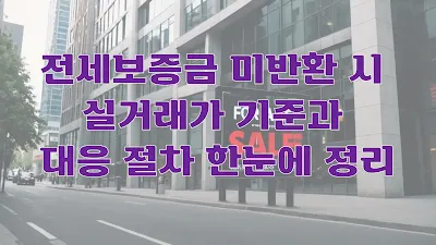 전세보증금 미반환 시 실거래가 기준과 대응 절차 한눈에 정리