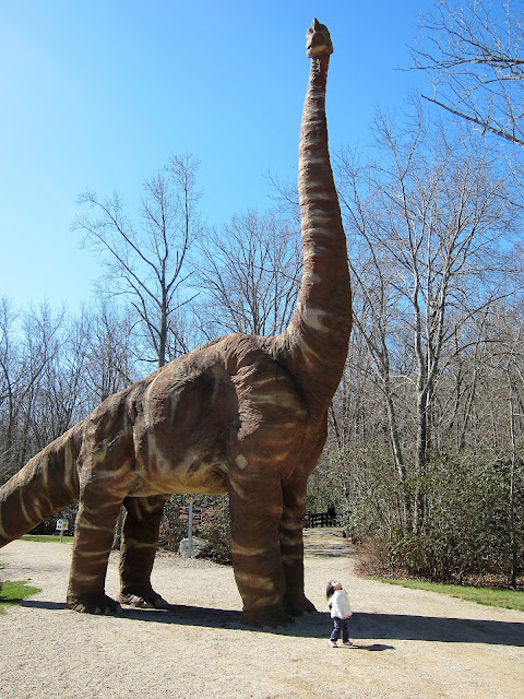 dinosaur place montville connecticut brachiosaurus