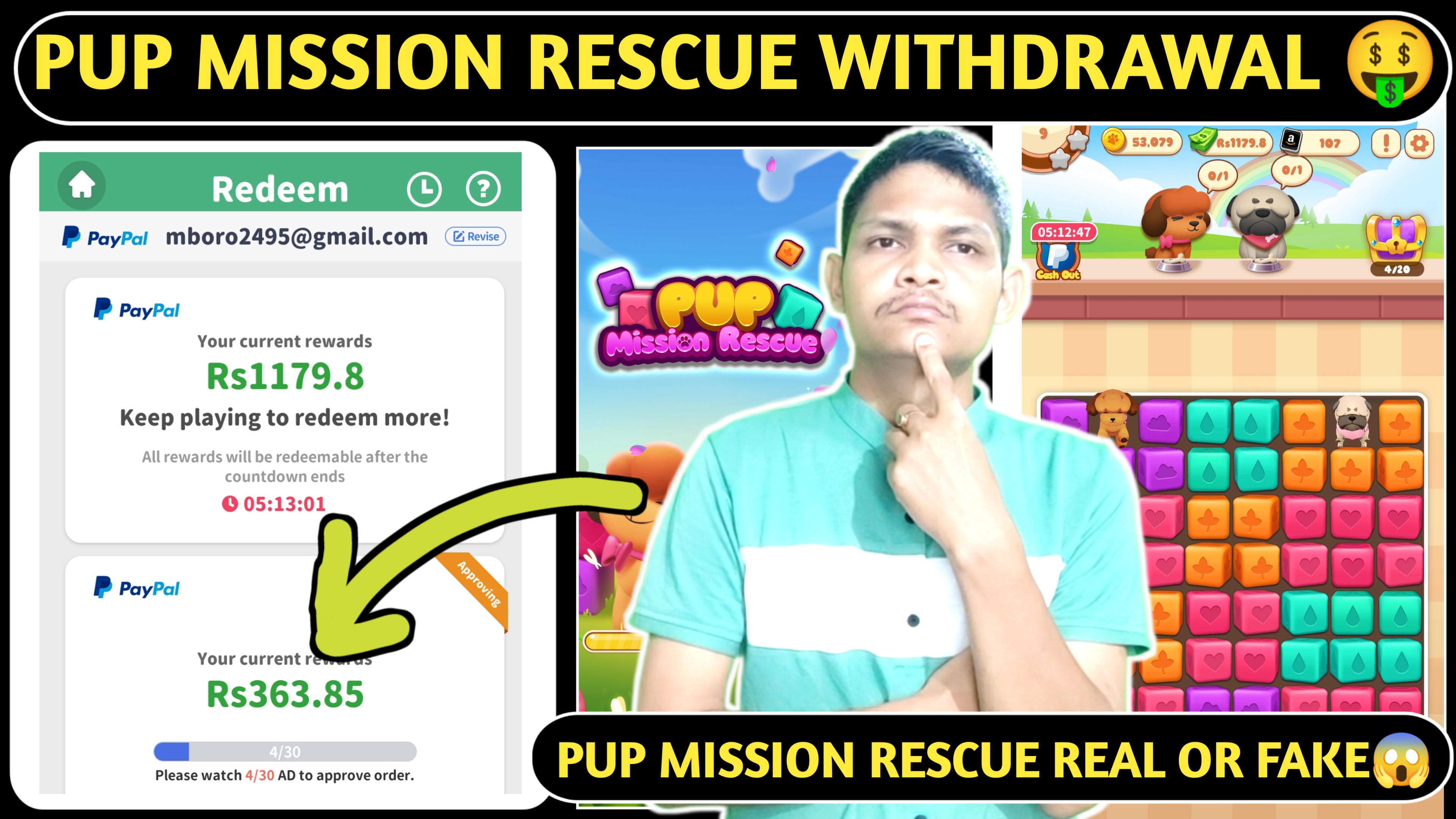 Pup Mission Rescue