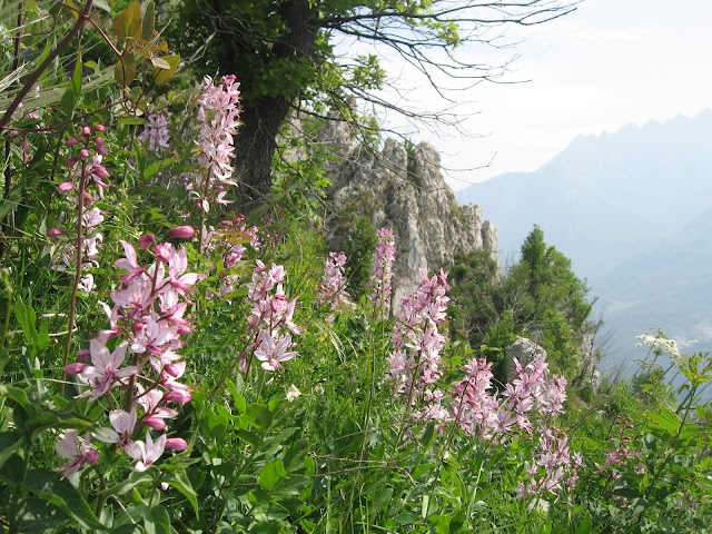 monte barro, trekking, lombardia, natura, panorami